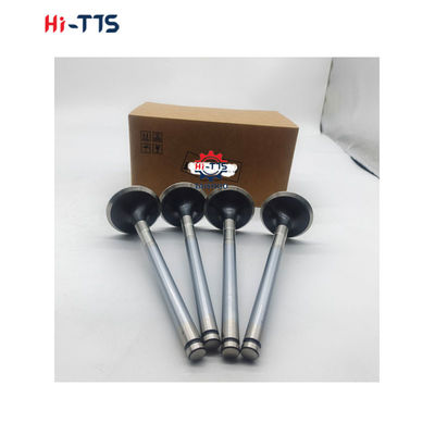 D2366 ディーゼルエンジンのスペアパーツ 入口バルブ 6504101-0044